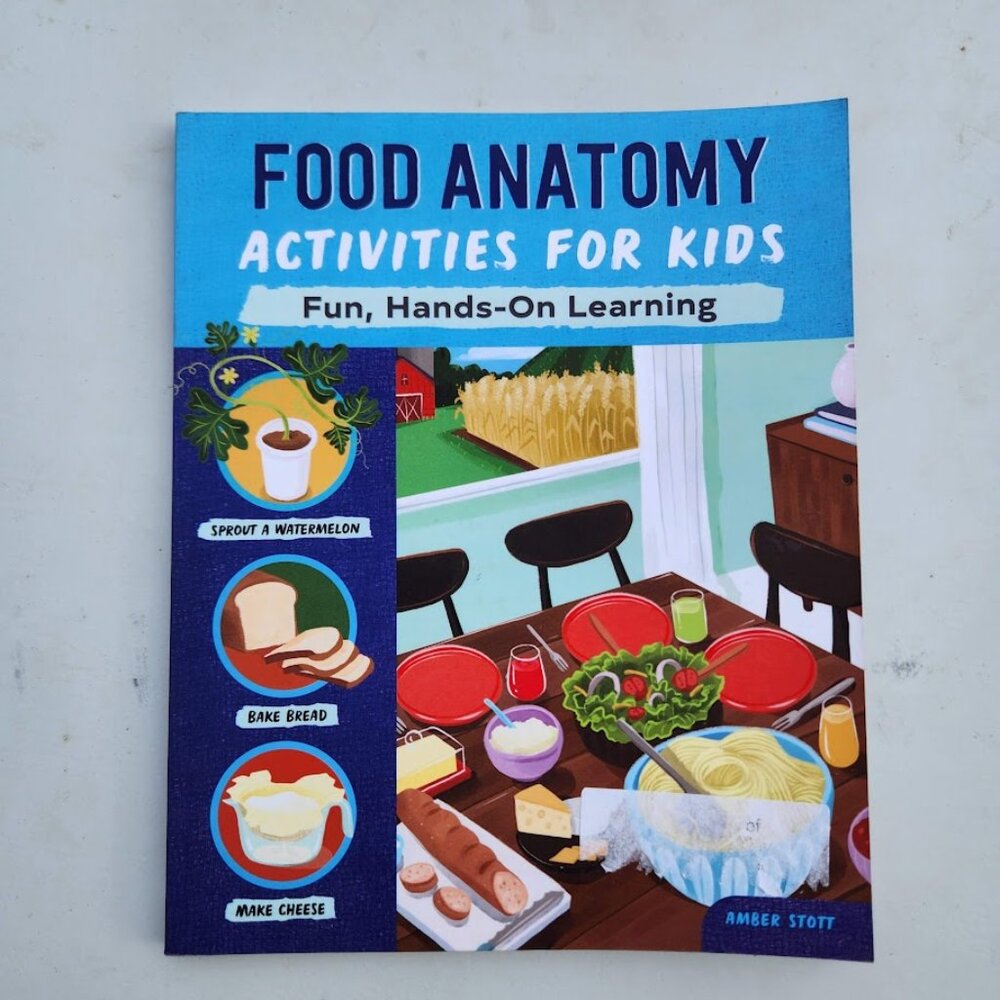 NEW Food Anatomy Activities for Kids Book  Hands-On Learning Activity Nutrition